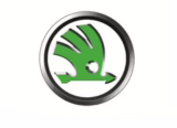 skoda чип тунинг